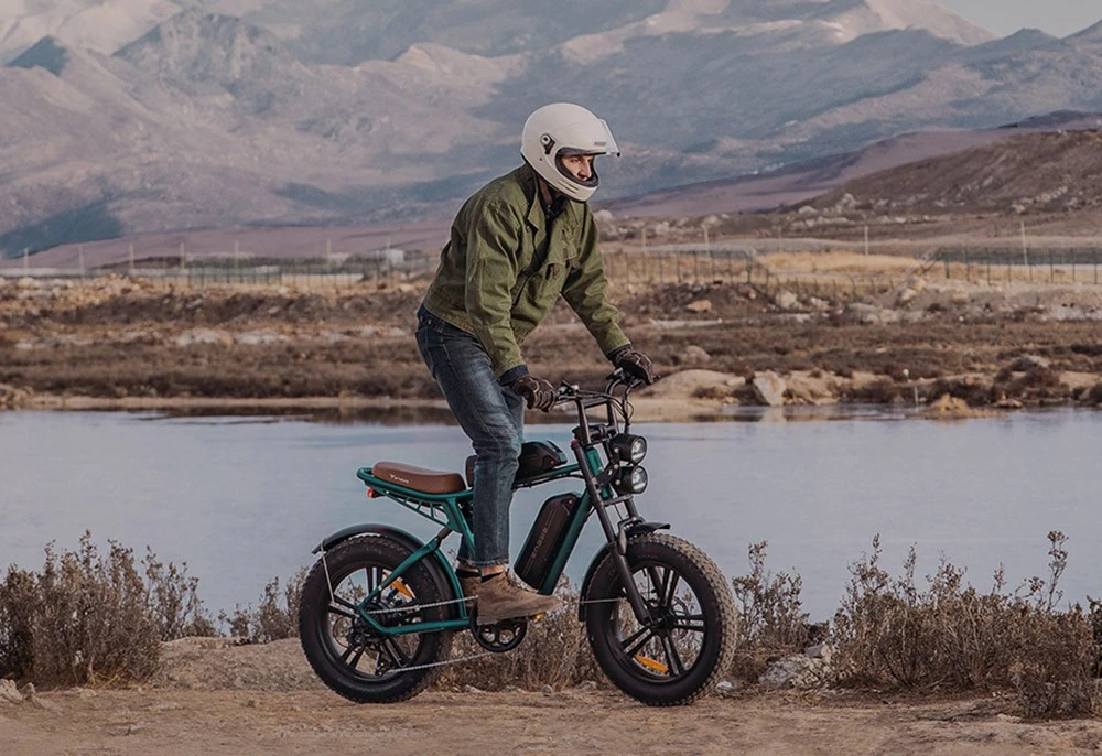 ENGWE M20 FatBike Dubbele Accu Wit - Afbeelding 13