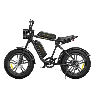 ENGWE M20 FatBike Dubbele Accu Zwart