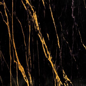 120x280x0,3 cm - PVC Wandpaneel Ceasar Black  - Zwart Goud Hoogglans